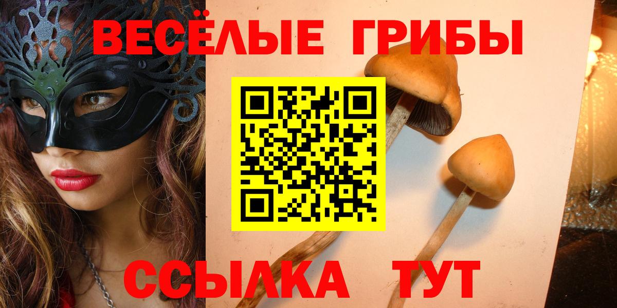 Галлюциногенные грибы ЛСД Сунжа